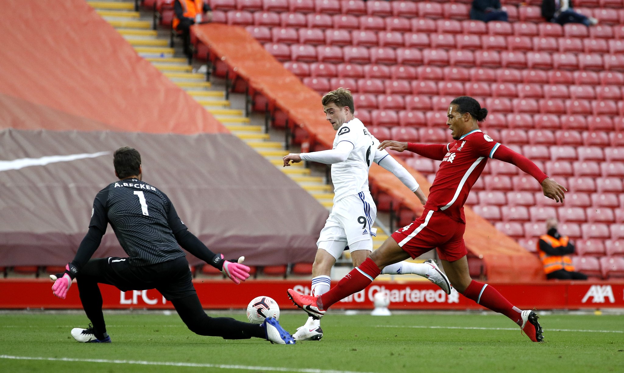 不仅仅因为 不仅仅因为